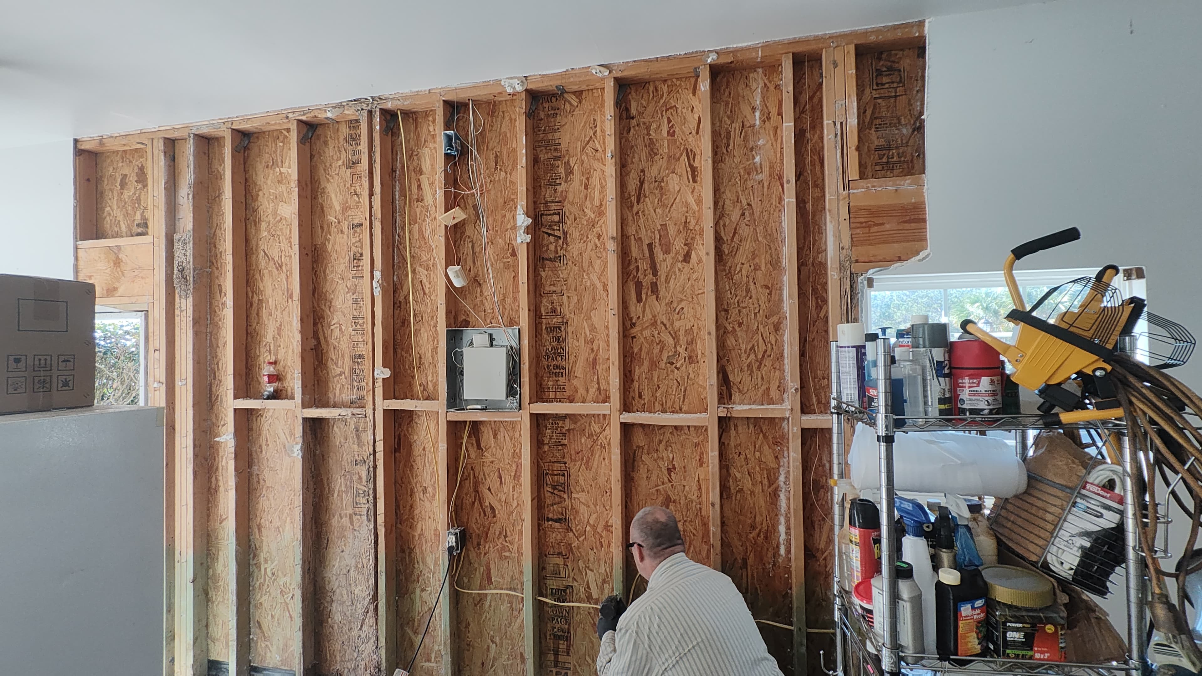 Termite Damage Repair & Structural Renovation after