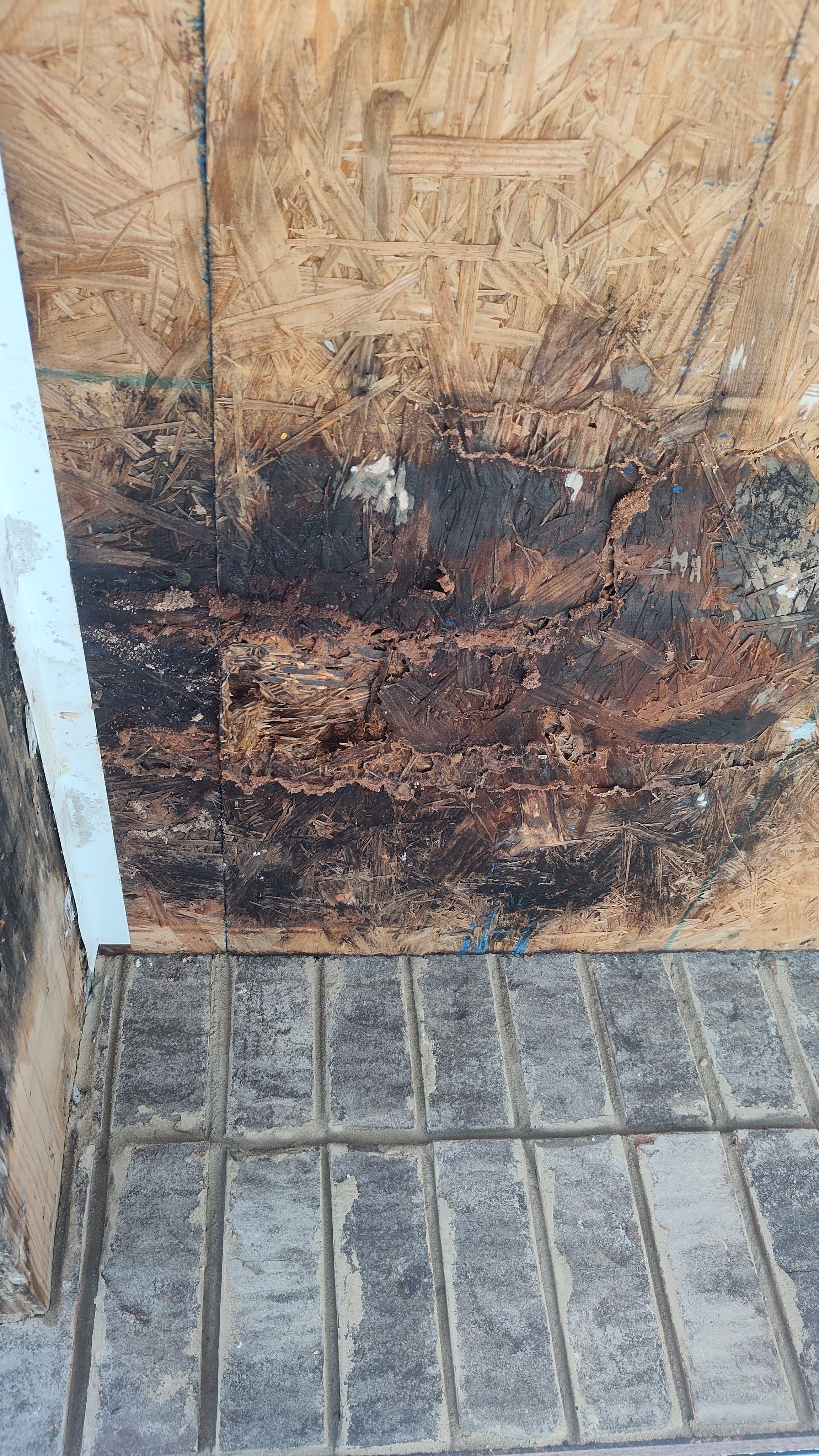 Premium Deck Construction